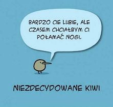 Niezdecydowane Kiwi