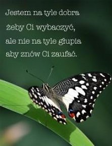 głupia nie jestem!