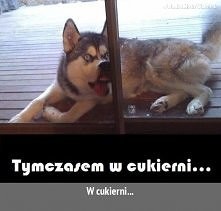 zawsze mam taką minę jak przechodzę obok cukierni a jestem na diecie