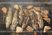 Makrela w słodko ostrej marynacie, grillowana