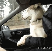 No daj rączkę ^^