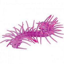 Rozciągliwa Skolopendra