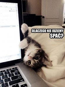 dlaczego nie idziemy spać?