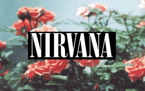 NIRVANA <3