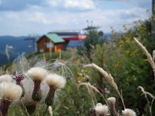 w górach jest wszystko co k...