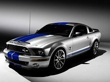 mustang ^^