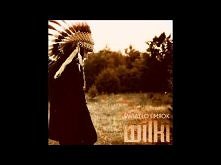 WILKI - MIŁOŚCI KWIAT NIEŚMIAŁY