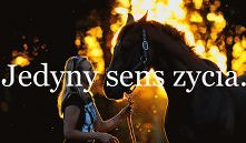 To już nie pasja tylko sens życia. :)