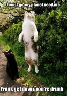 Moja planeta mnie potrzebuje... ;3