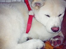 Moja mała Zoyka :)))<3<3