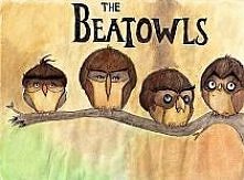 The Beatowls