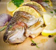 Pstrąg strumieniowy