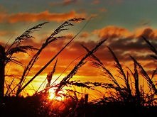 Wszyscy mówią,że się kochają,że ich uczucie jest nie wiadomo jakich rozmiarów i w ogóle inne takie. Mówią też, że nie rzucają słów na wiatr. A to kłamcy! Większość ich związków ...