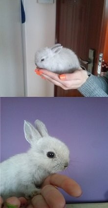 No to teraz pora na mojego ...