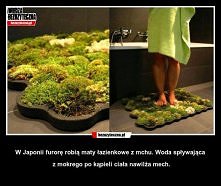 mata z mchu