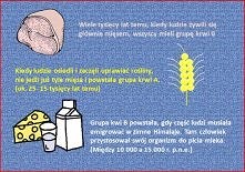 dieta zgodna z grupą krwi, słyszeliście o niej?