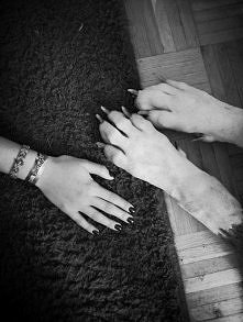 pies najlepszym przyjaciele...