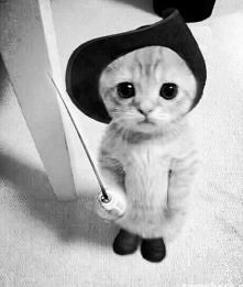 Jejciu jaki słodziak!!! :D