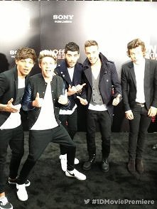 'One Direction This Is...