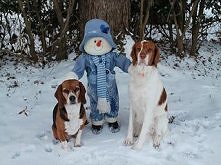 ❤Dog images, dog animations, dog quotes, dog training tips, funny dogs, dog and cat, dog and pet, cute dog and baby ♥