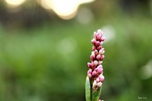 Ojejku, ja na prawdę nie wi...