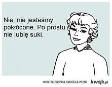 nie lubię suki