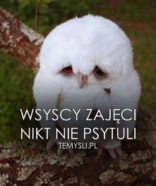 nikt nie psytuli