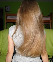 moje. 06.09.13

Ponieważ tak dużo komentuję w temacie zapuszczania włosów, chciałam pokazać, czym mogę się pochwalić. Oczywiście to dopiero początek, z dbaniem o włosy zaczęłam ...