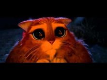 ośle mógłbyś mnie wylizać