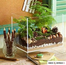 świetne... mieszkam blisko ...