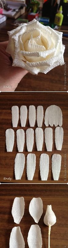 diy, corrugated, paper, ros...