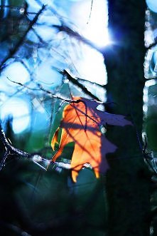 PIĘKNA POLSKA JESIEŃ JUŻ ID...