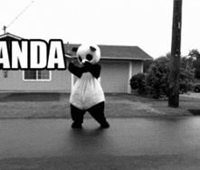 Pandaaa !
