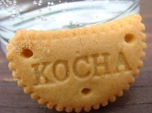 kocha