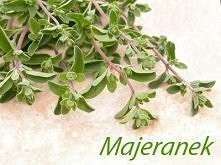 Uprawiany od czasów starożytnych. Jest bardzo aromatyczną i dekoracyjną rośli...