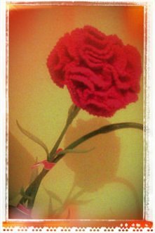 handmade rose (na szydełku)