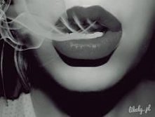 Sadzić, palić, zalegalizować