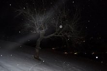 I'm proud. Dzieło JJ:3