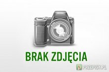 sałatka-smak pizzy