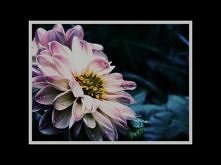 Joe Hisaishi - The Rain