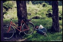 Fot. Justyna Adamkowska