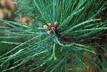 Fot. Justyna Adamkowska