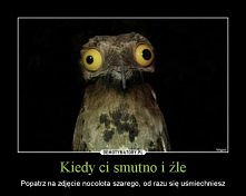 nocolot ;)