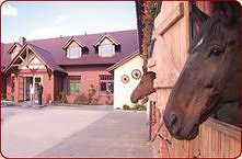 Przepiękny ośrodek jeździecki w Hermanowie (Folwark Konny Hermanów)