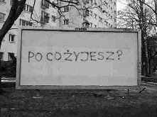 zastanów się, co robisz tu,...