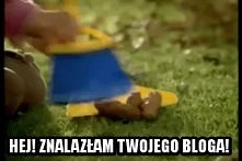 GIF GIF GIF GIF GIF GIF GIF...