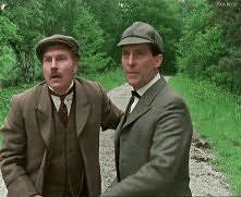 "Stop that horse!"