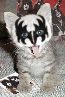 Kiss Kitten ;D