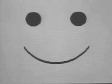 Every smile is another lie !