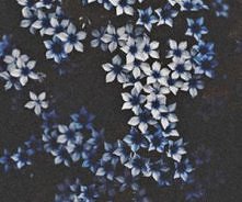 Nie wiem czemu ale jak patr...